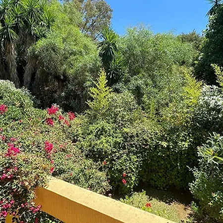 Vacaciones En Park דירה *