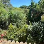 Vacaciones En Park